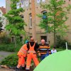 Maibaumaufstellung 2014