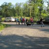 Sommergrillen 2014