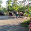 Sommergrillen 2014