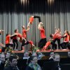 Zirkus 2016